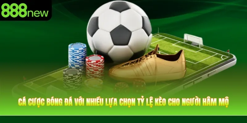 Cá cược bóng đá với nhiều lựa chọn tỷ lệ kèo cho người hâm mộ