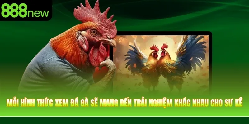Mỗi hình thức xem đá gà sẽ mang đến trải nghiệm khác nhau cho sư kê