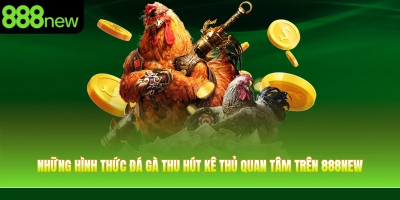 Những hình thức đá gà thu hút kê thủ quan tâm trên 888NEW