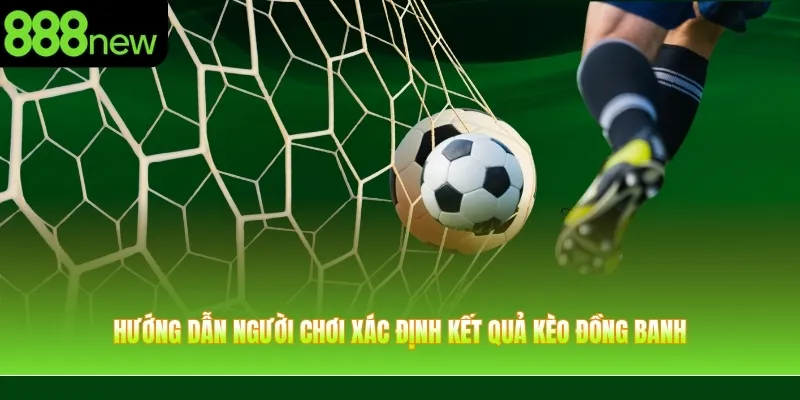 Hướng dẫn người chơi xác định kết quả kèo đồng banh